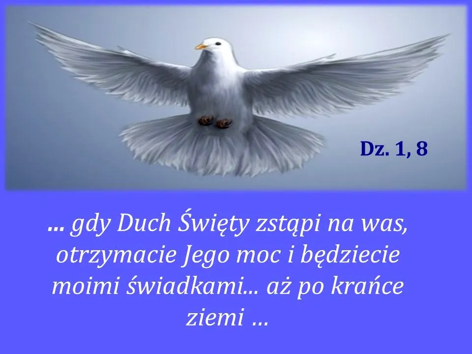 4.webp